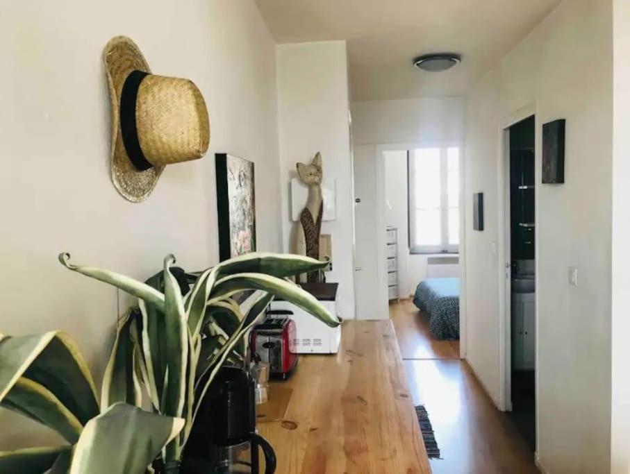 Appartement T2 Avec Vue Chateau 카르카손 외부 사진